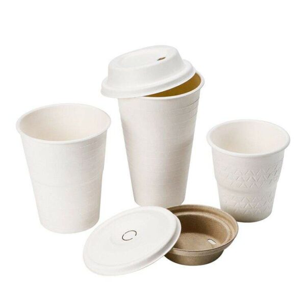 Custom eco-friendly compostable bagasse cups