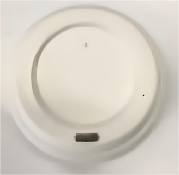 Custom eco-friendly compostable bagasse hot water cup LIDS