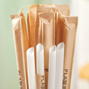 Factory Custom Eco-friendly PLA straws