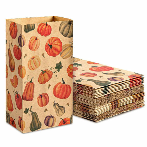 Wholesale Eco-friendly Printed Kraft SOS bags