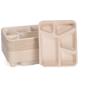 Custom wholesale eco-friendly compostable lunch tray