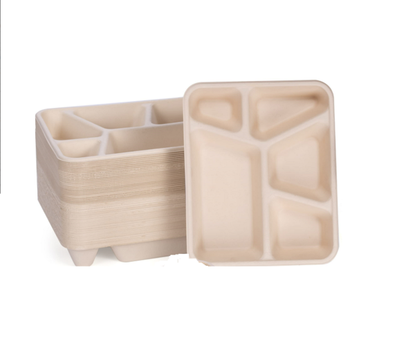 Custom wholesale eco-friendly compostable lunch tray