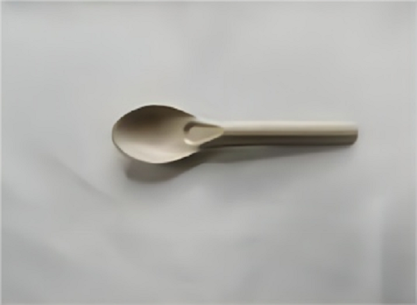 Factory Customized eco-friendly Sustainable bagasse spoon